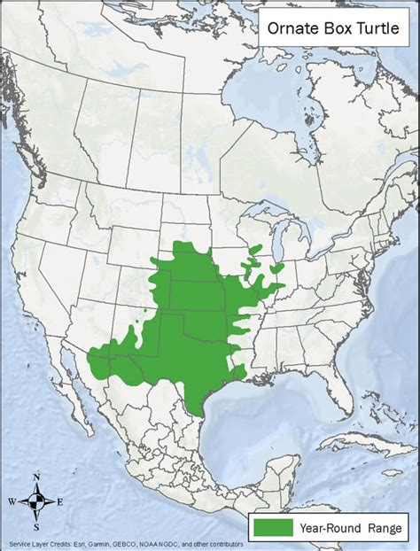 ornate box turtle distribution|ornate box turtle range map.